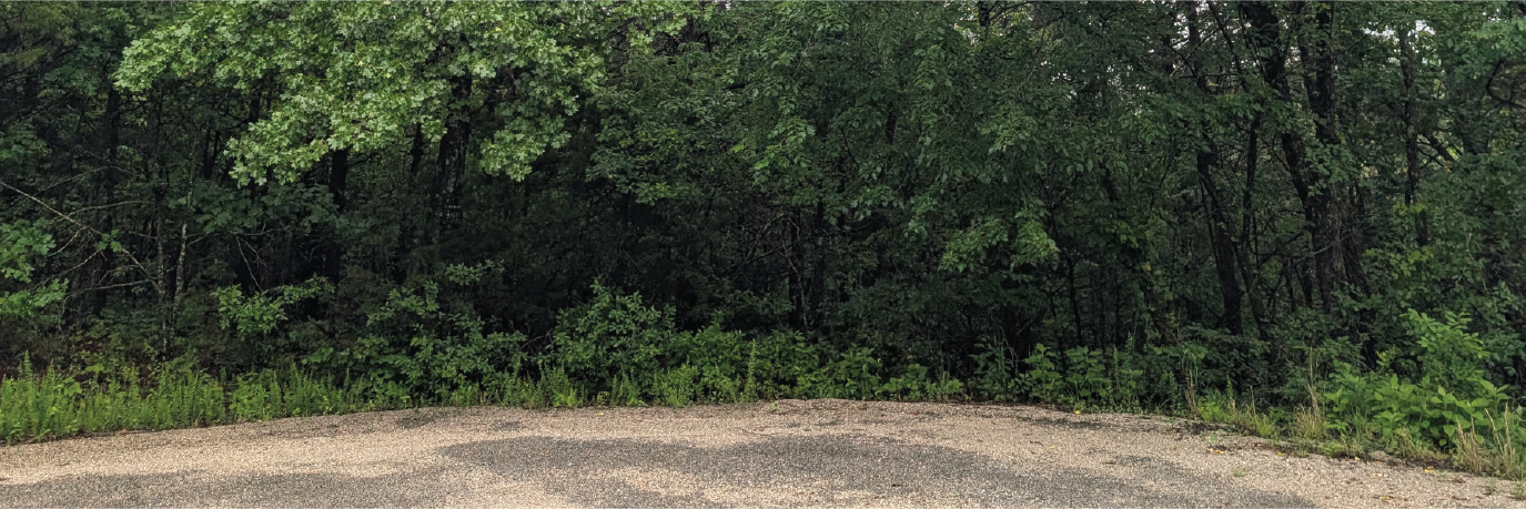 Peaceful Cul-de-Sac Lot in the Ozarks – Build Your Dream Hideaway