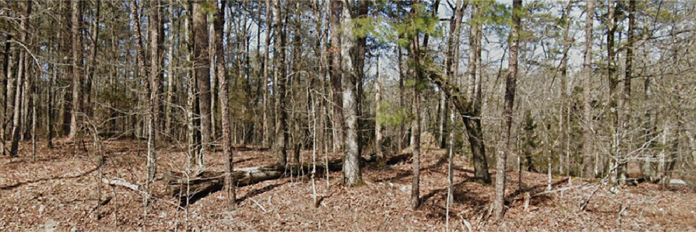 Great corner lot just across the main road from Lake Coronado