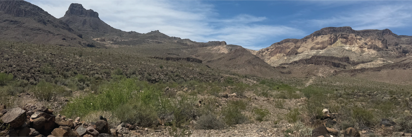 Five acres of off the grid paradise near the town awaits you here