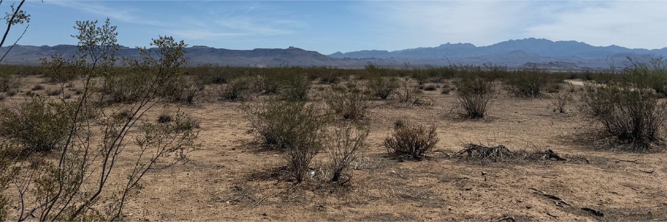 More than 2 acres of breathtaking desert property outside of Kingman