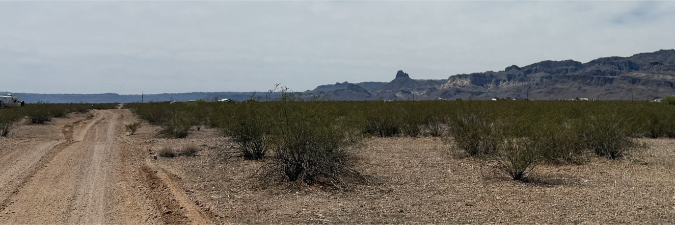 Almost two and half acres full of possibilities ready to be made your own