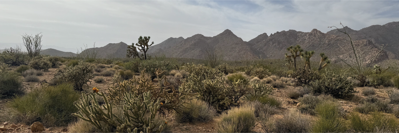 Great lot close to the lake yet far away enough from the city