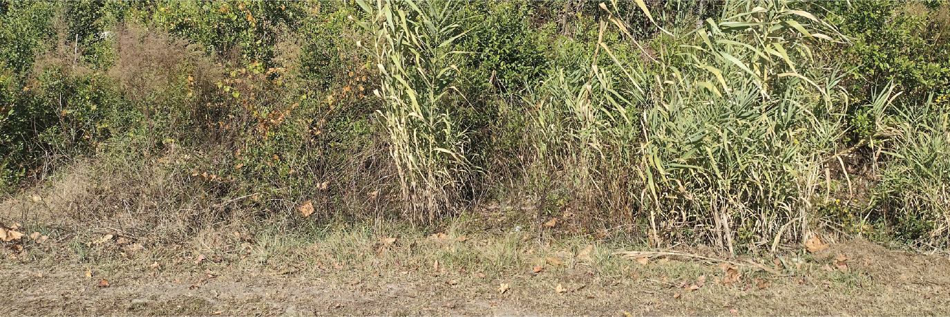 A great commercial property with almost an acre of usable space