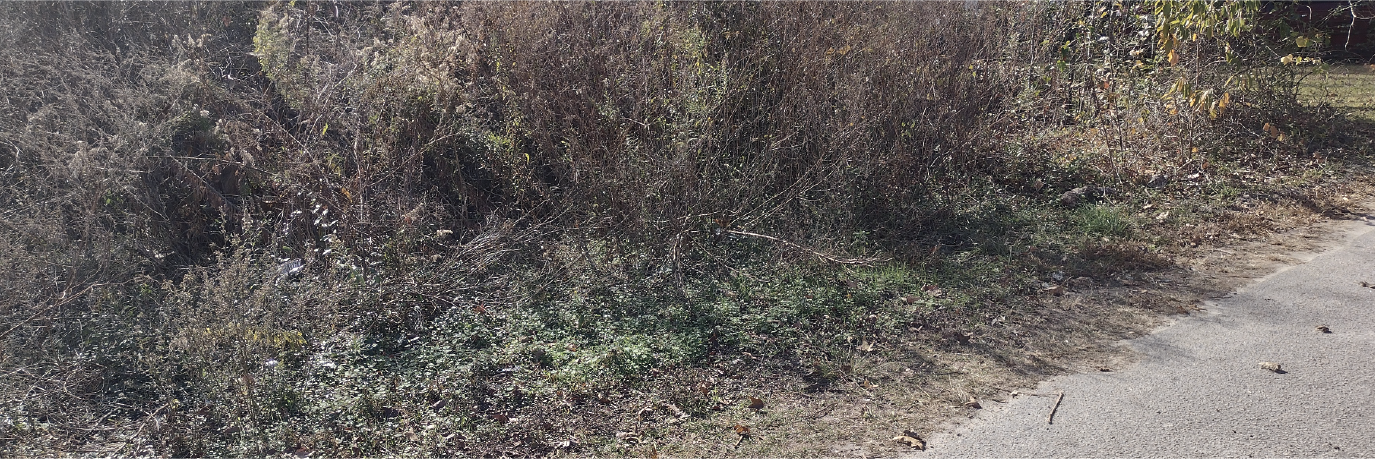 Nice lot in a sweet neighborhood near the end of a short cul de sac