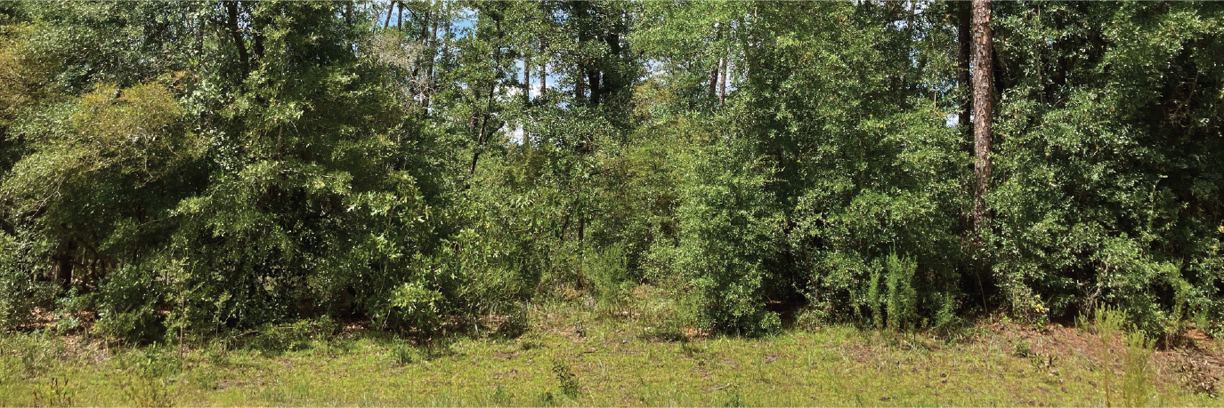 Just over an acre of gorgeous land in a charming community