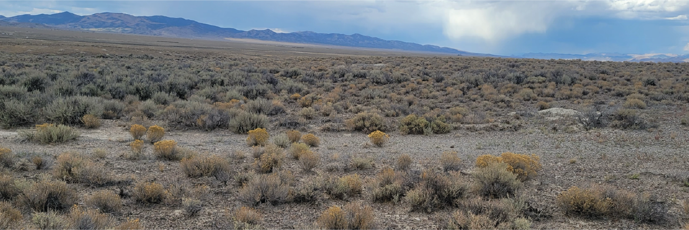 Ten acres of beautiful property full of potential in a great area