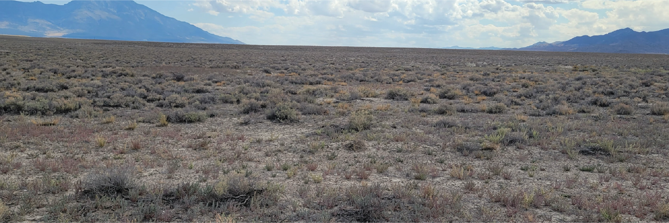 A ten acre parcel in the beauty of northeast Nevada