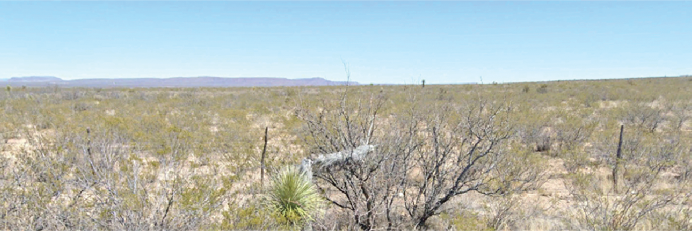 A wonderful off the grid property in the gorgeous Texas high desert