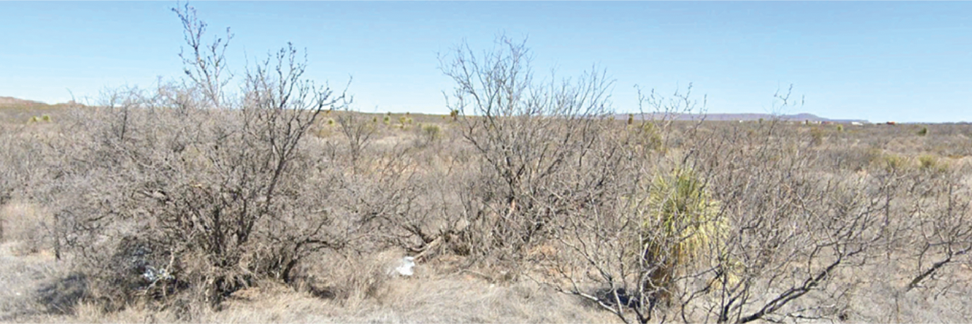 A wonderful 10 acre plot in the gorgeous high desert of Texas