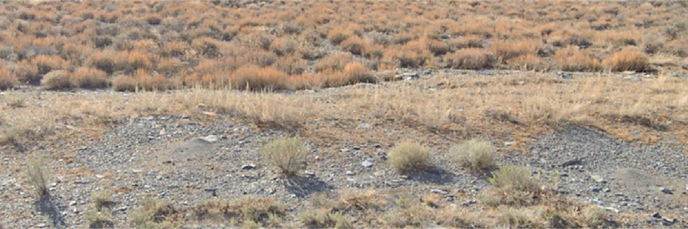 A gorgeous property in a charming and historic town