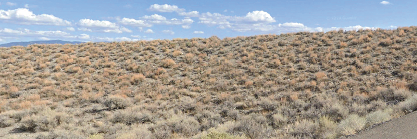 Beautiful property at the end of a quiet cul de sac