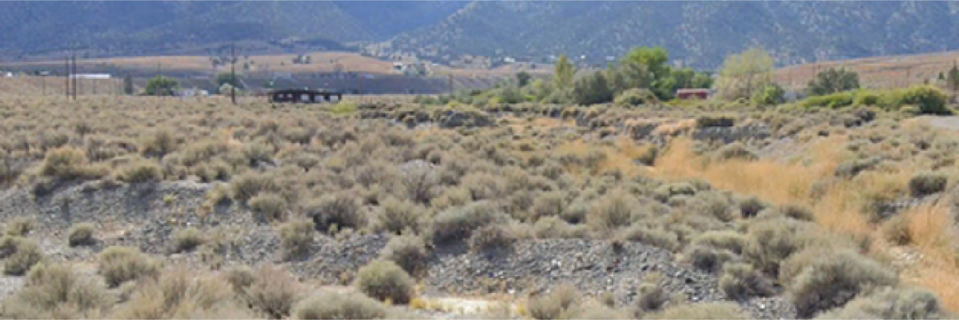 Well over half an acre in a peaceful and charming town