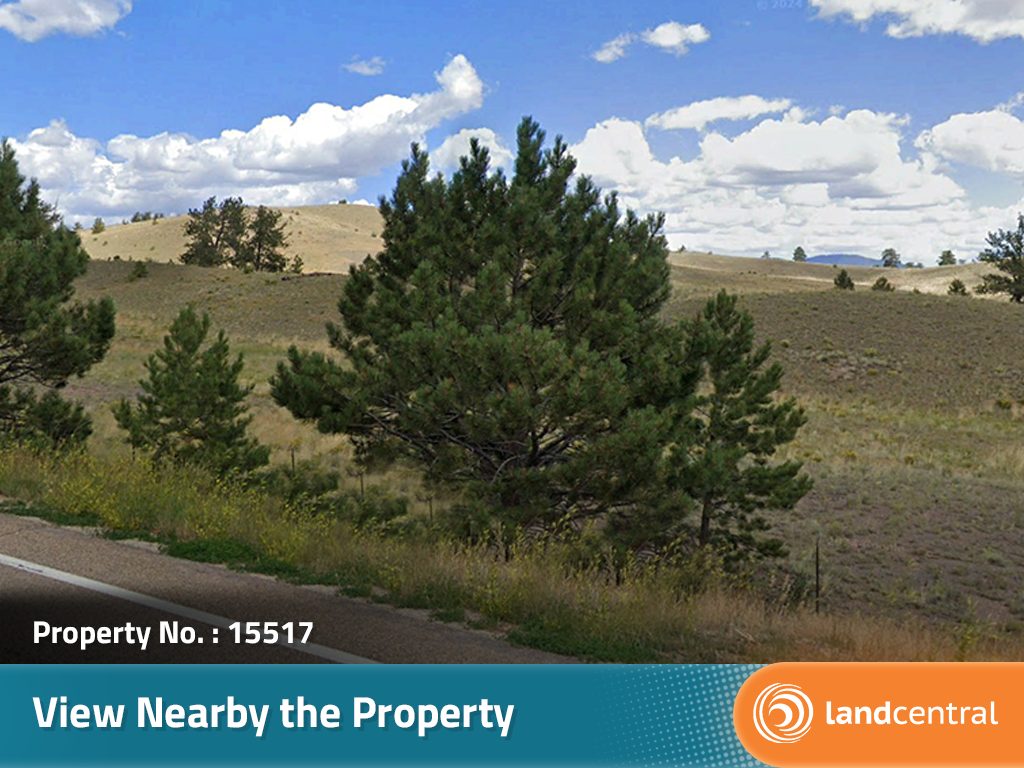 Just over 5 and a half acres of gorgeous land in the heart of CO