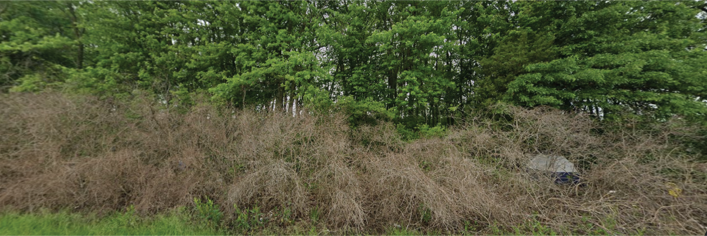 Almost half an acre in a small and sweet town between a few big cities