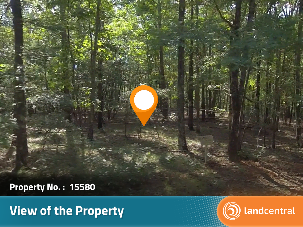 Nearly an acre in a gorgeous area less than 2 hours from Atlanta