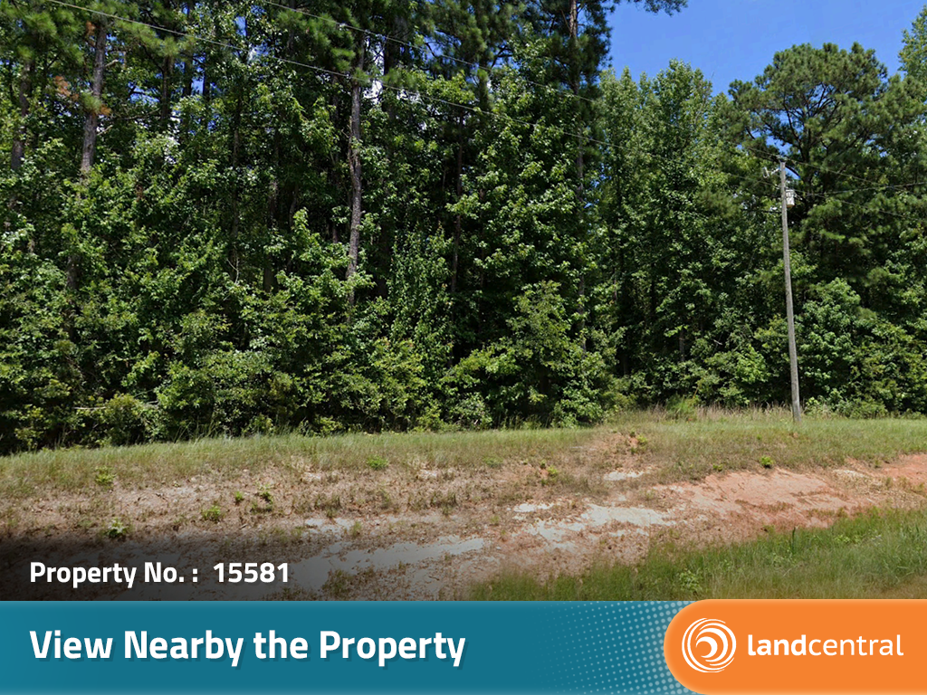 A beautifully wooded property at the end of a quiet road