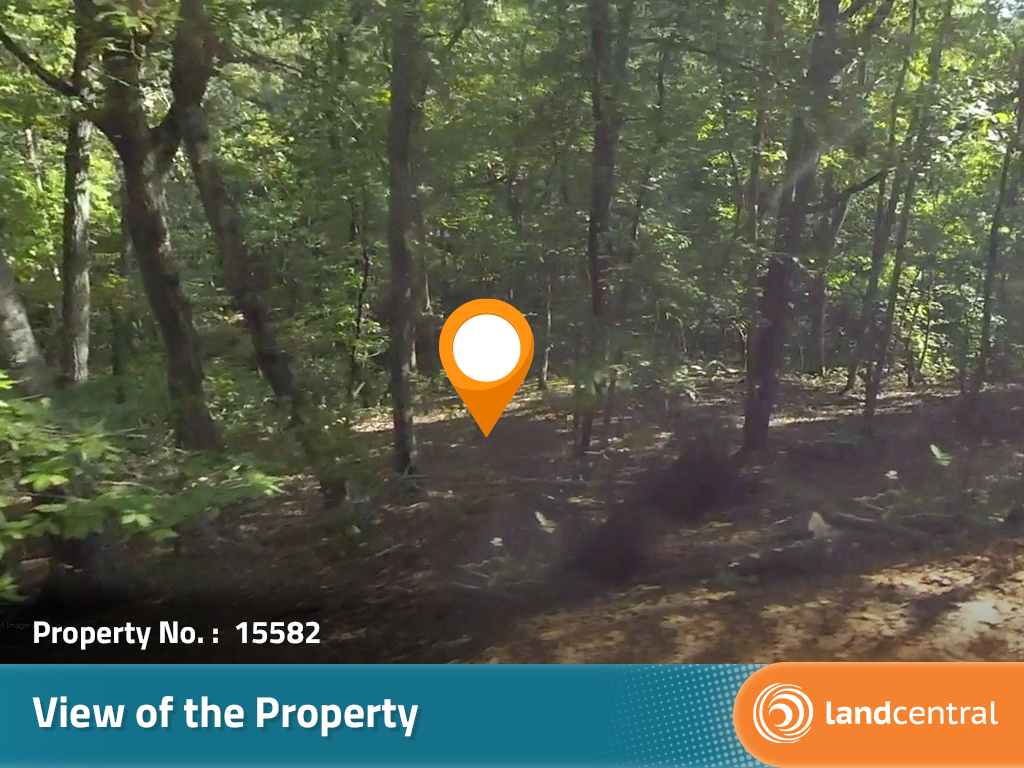Nearly half an acre of peace and quiet in a slightly secluded area