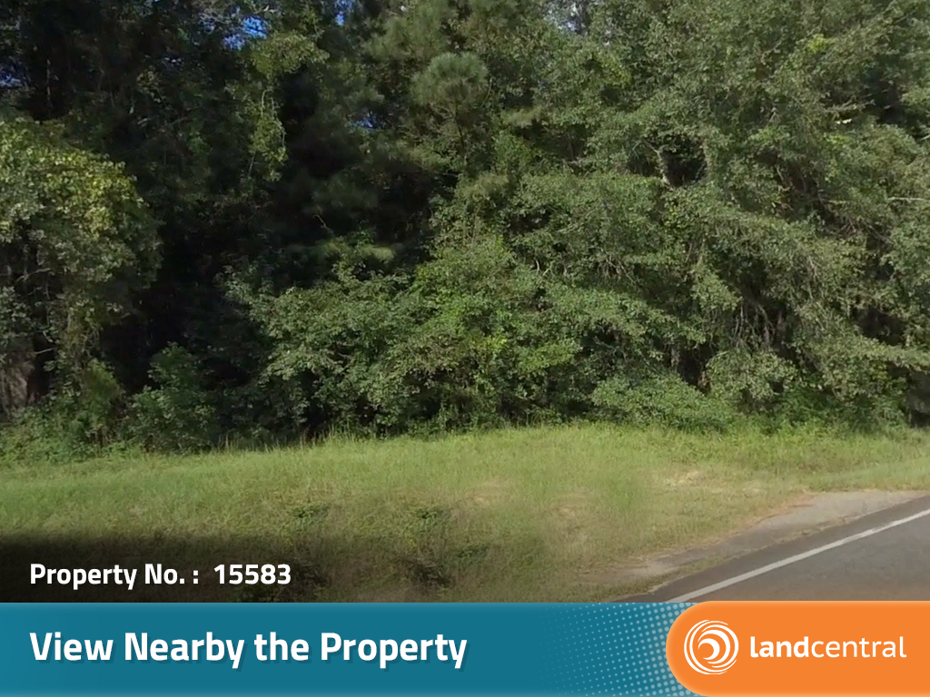 A gorgeous parcel full of potential in a quiet neighborhood