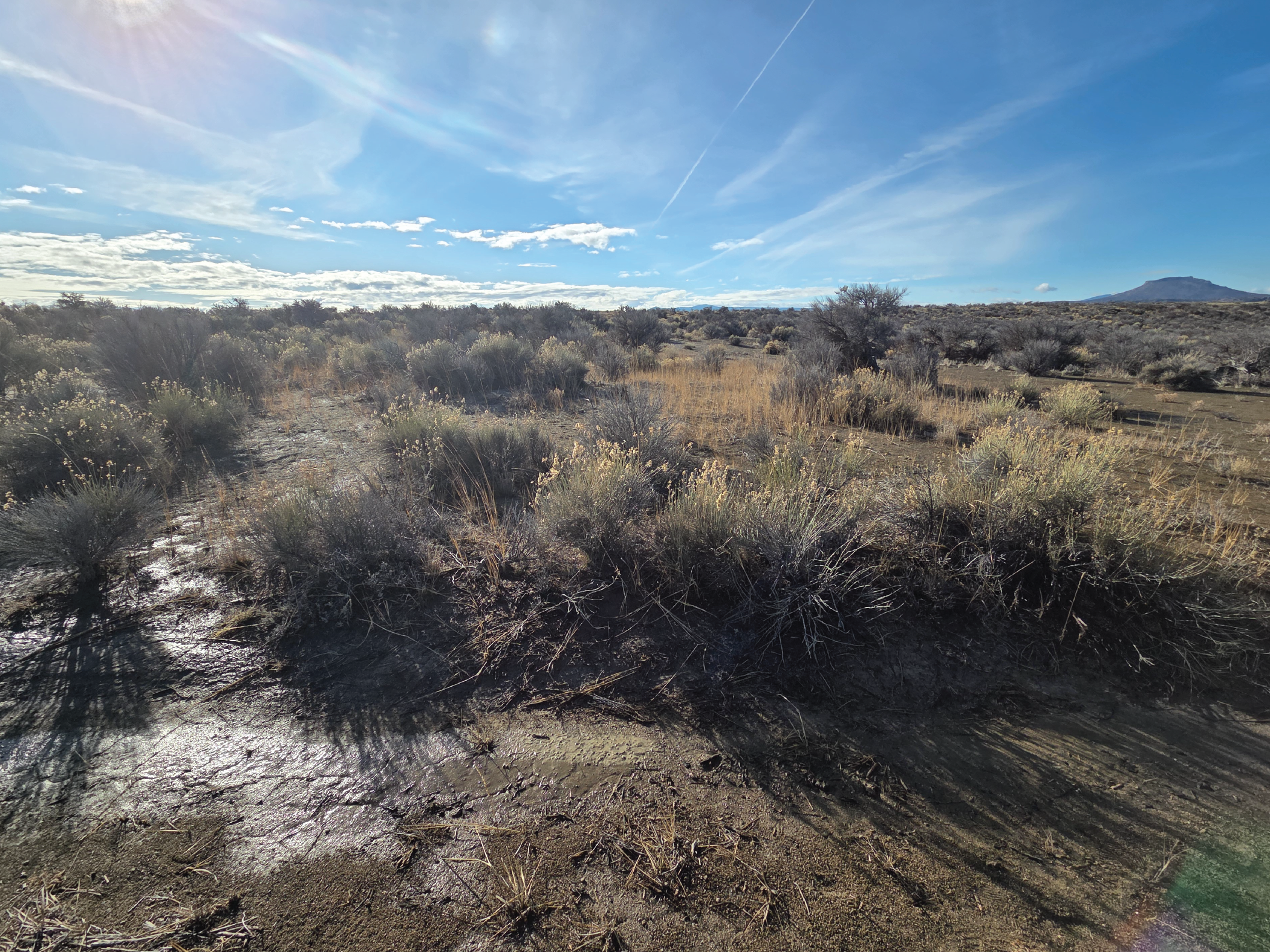 20 acres of gorgeous farm land ready for your crops and animals dream