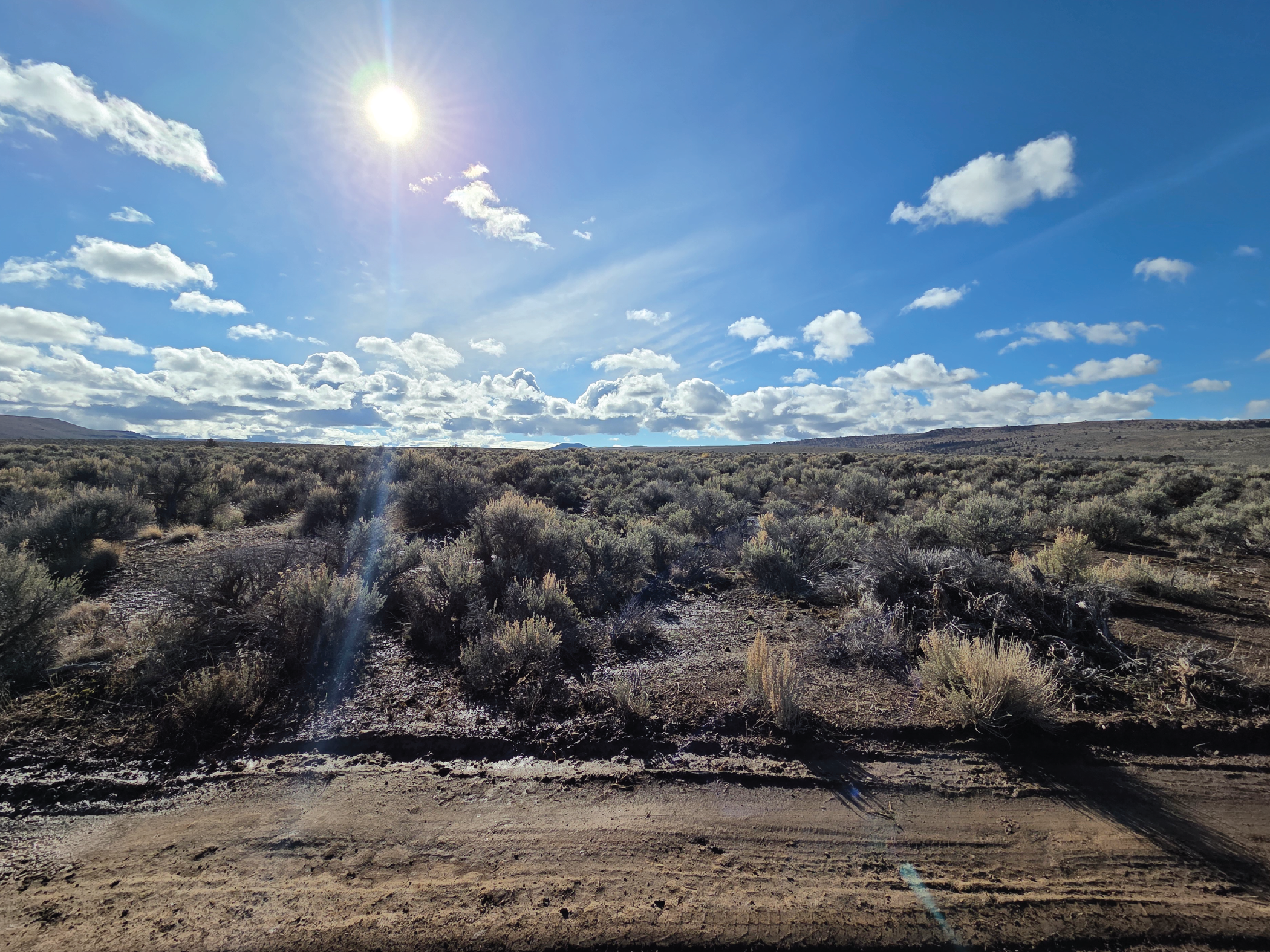 20 acres of gorgeous farmland ready to become your forever home