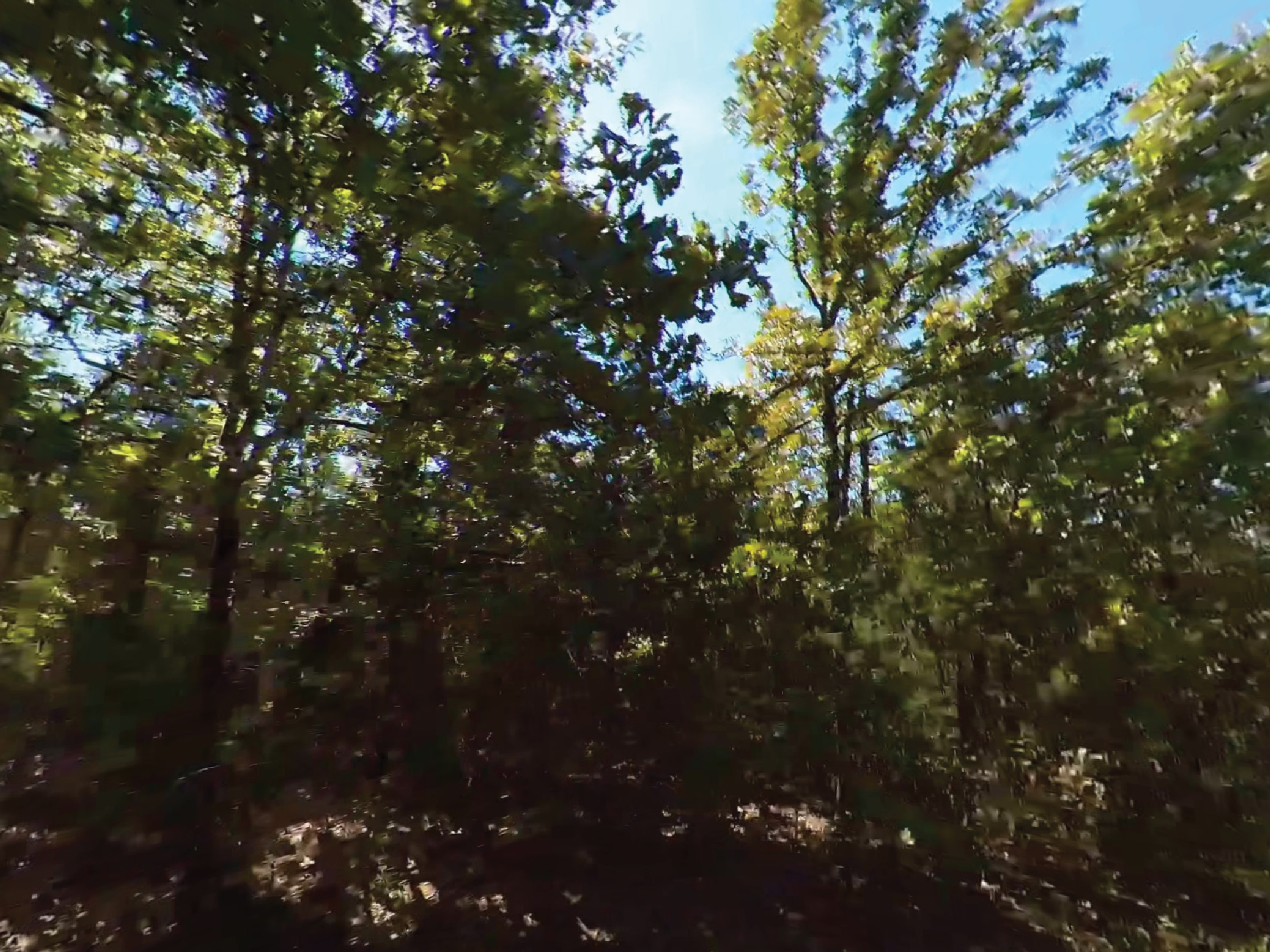 Build Your Ozarks Getaway in Scenic Baxter County