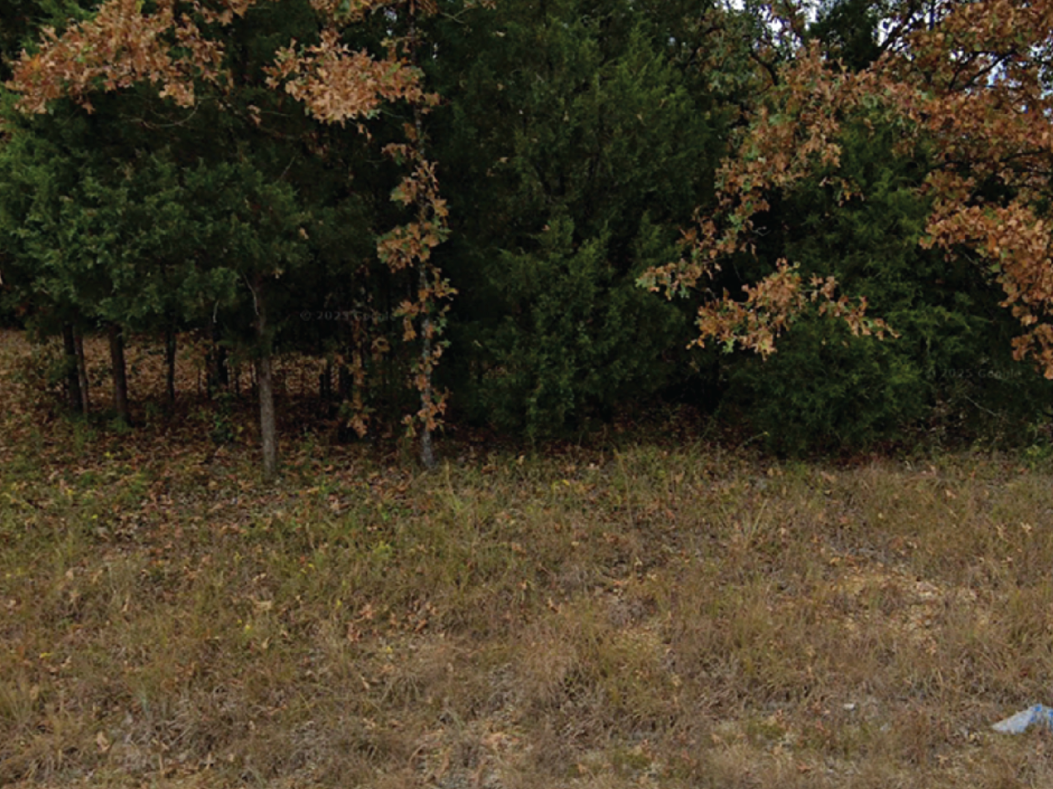 Quiet Ozark Living Just Minutes from Everyday Conveniences