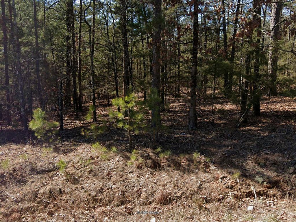 Come embrace the beauty of small town life with this great property