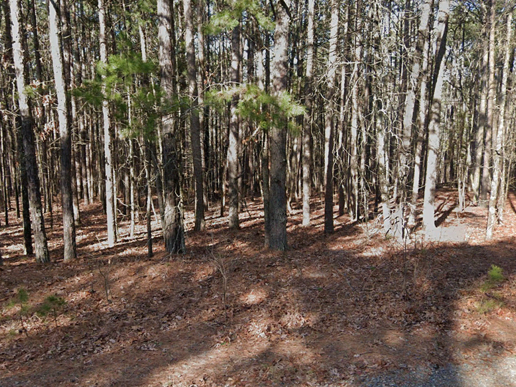 Beautiful property on a quiet cul de sac minutes from Greers Ferry Lake
