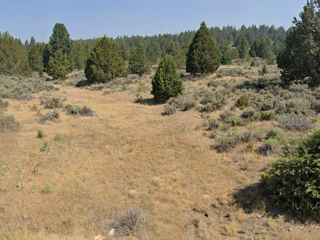 Nearly two acres away from the world near the Sprague River