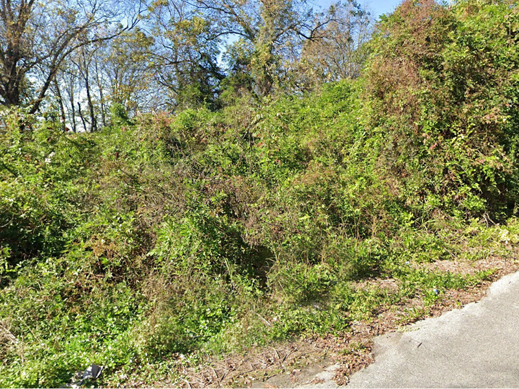 Beautiful property in a charming town along the Mississippi River