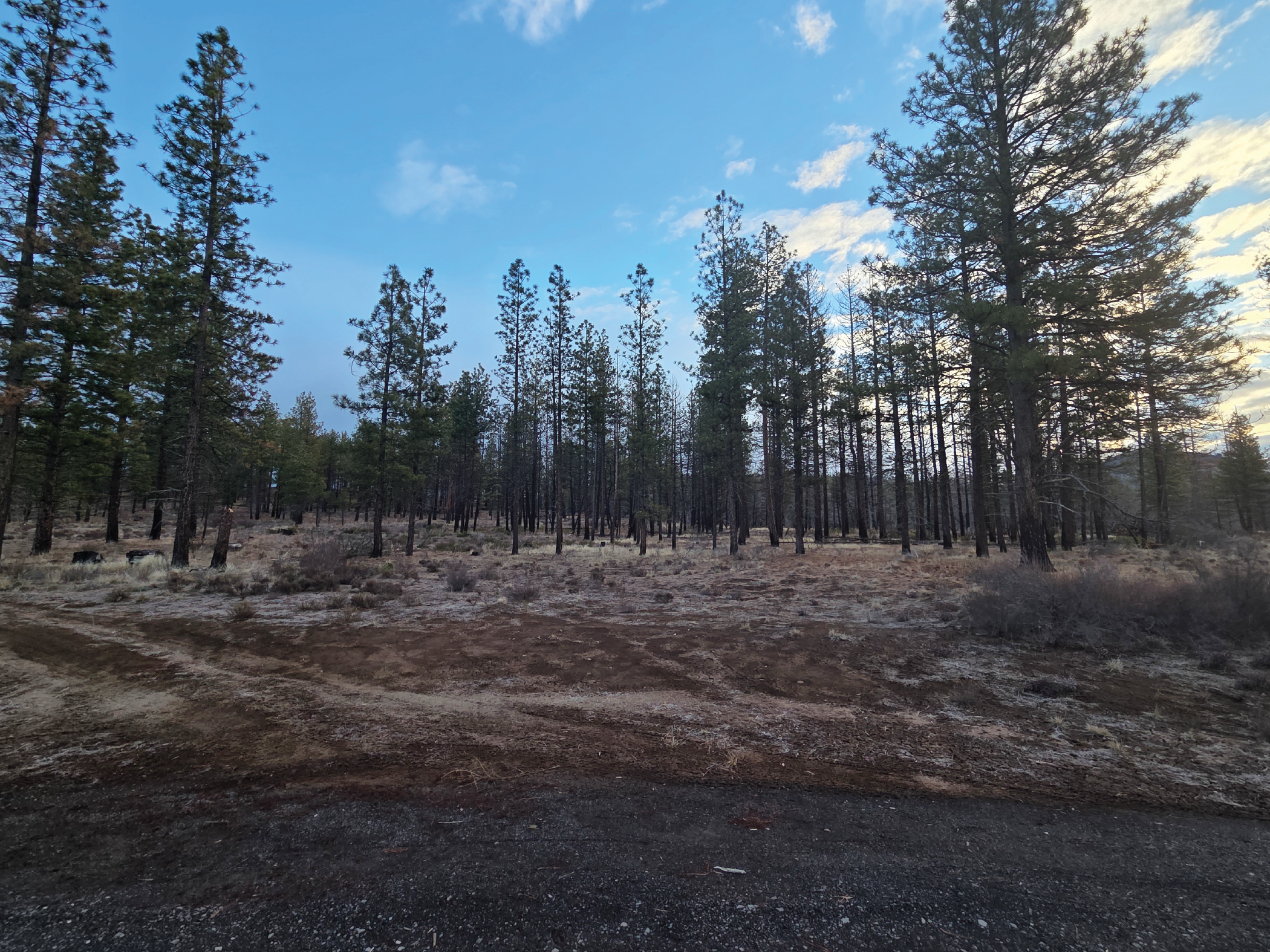 Surrounded by Oregon forest, this is the escape you’ve been Planning