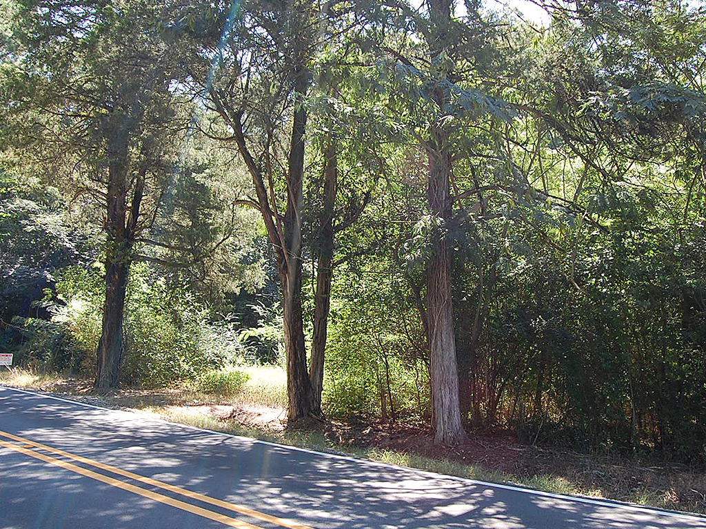 Prime Real Estate in Adger Alabama1