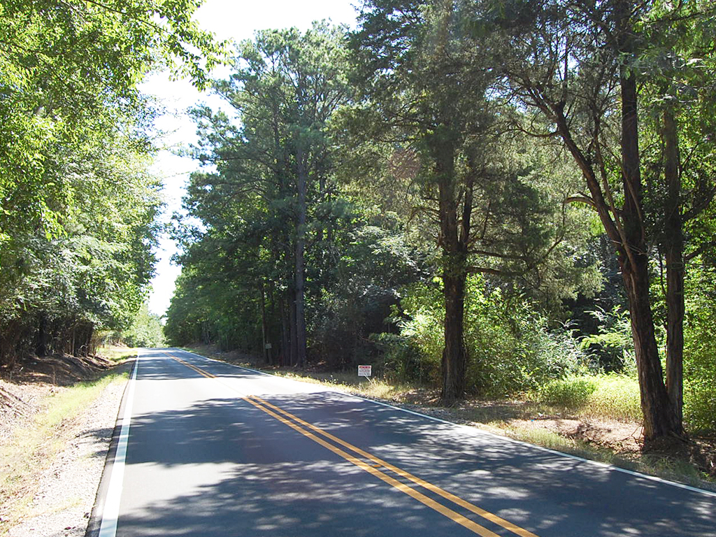 Prime Real Estate in Adger Alabama1