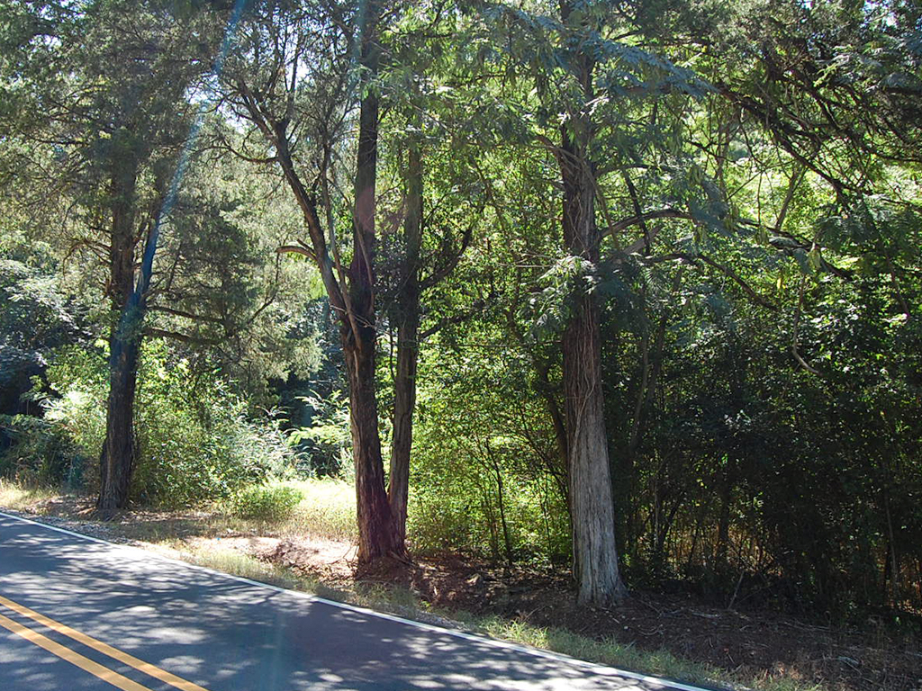 Prime Real Estate in Adger Alabama1
