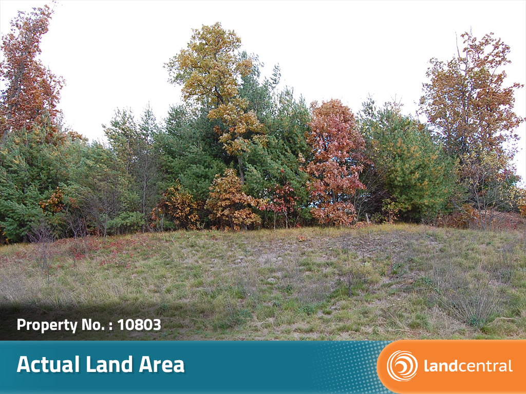 Quarter Acre Lot with Water and Sewer Available1