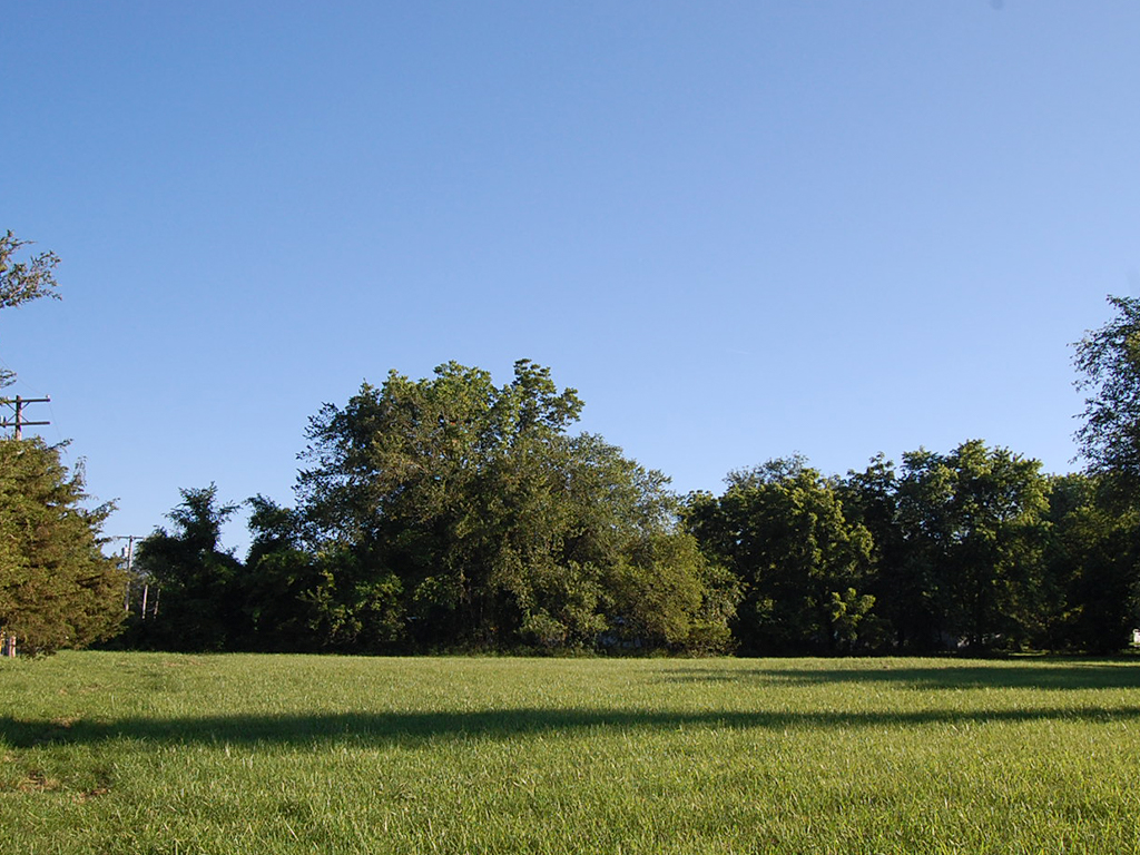 Large Corner Lot in Buffalo in Southwest Ozarks1