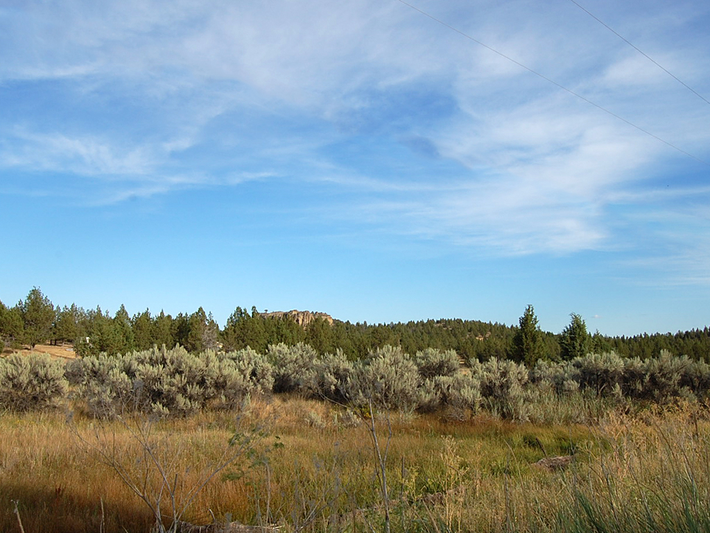 Modoc Recreational Estates Property1