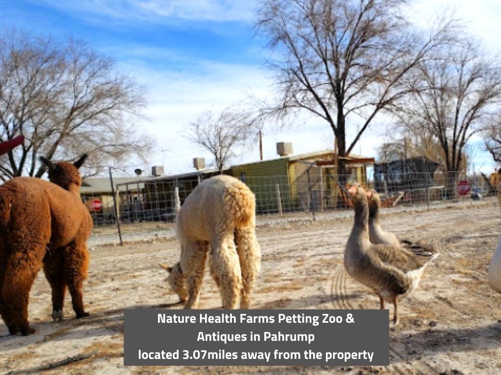 Investment Parcel Near Pahrump in Airport Association1