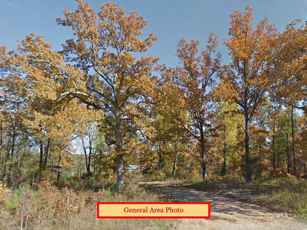 Amazing Deal Near Ozark Mountains1