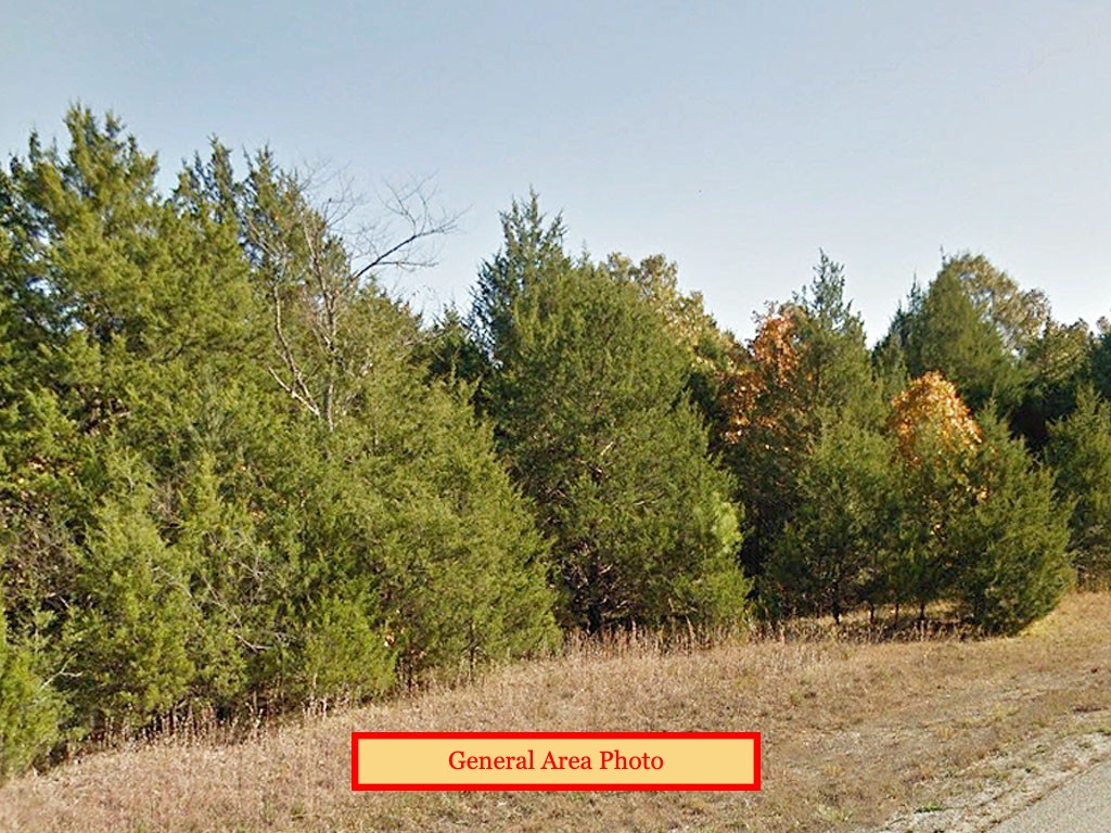 Amazing Deal Near Ozark Mountains1