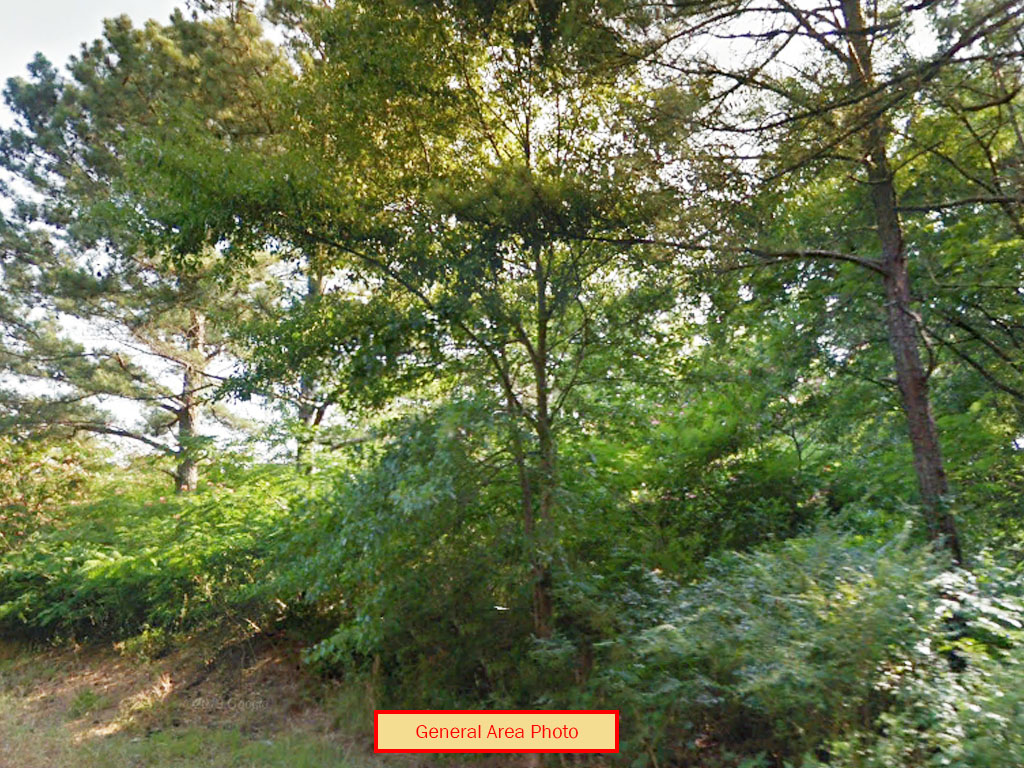Sprawling Property In Quaint Southern Town1