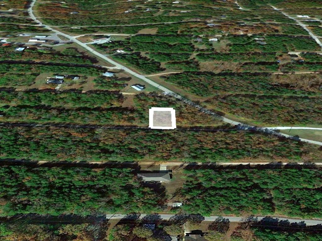 Gorgeous Quarter Acre in Diamond City1