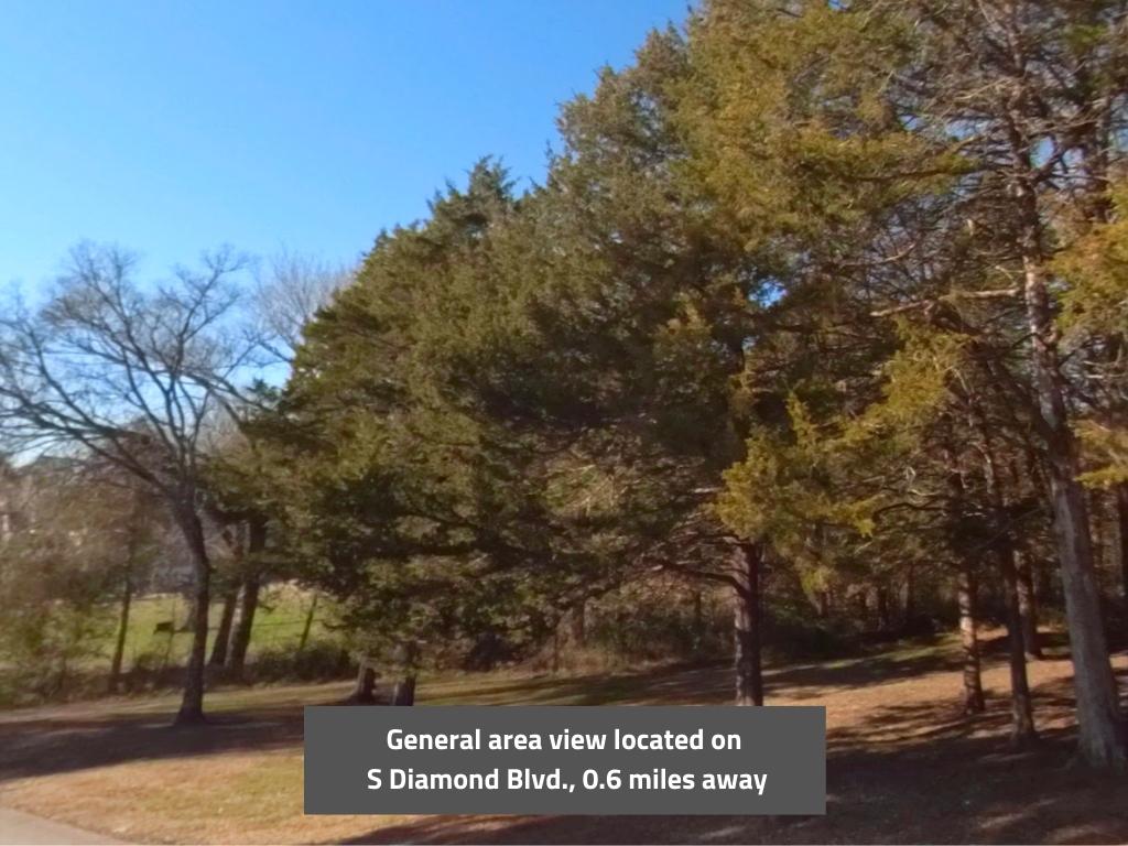 Gorgeous Quarter Acre in Diamond City1