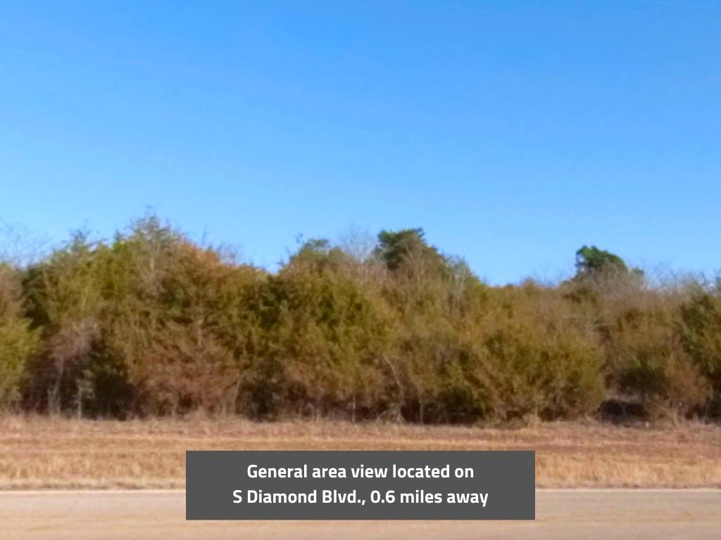 Gorgeous Quarter Acre in Diamond City1