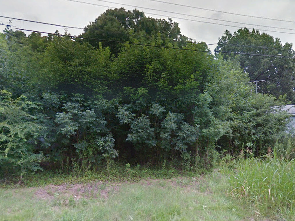 Charming Lot in Historic Neighborhood1