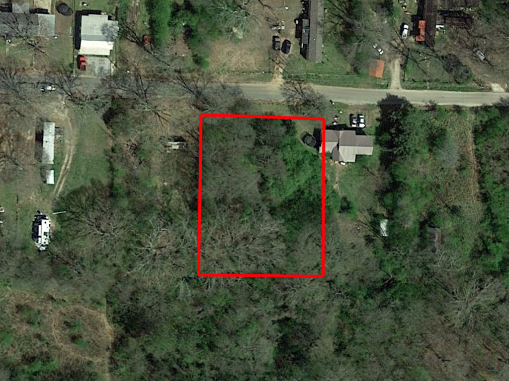 Alabama Treed Lot with Greenspace Behind1