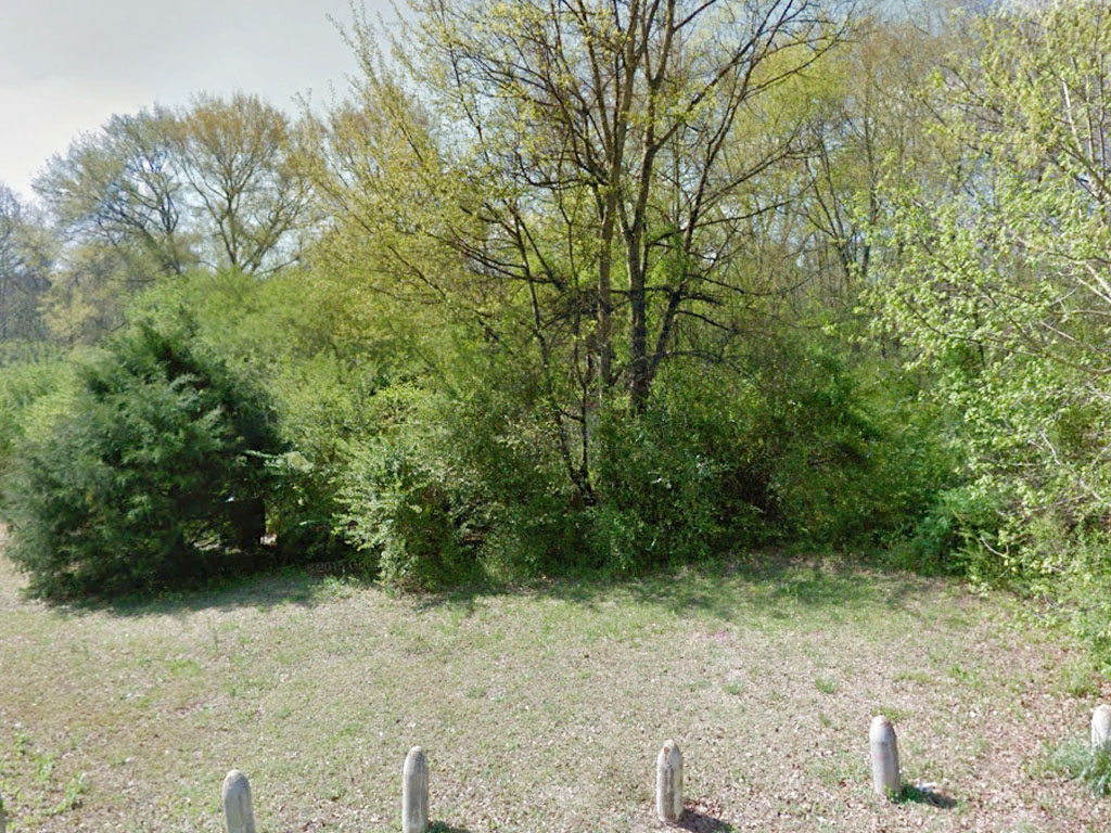Alabama Treed Lot with Greenspace Behind1