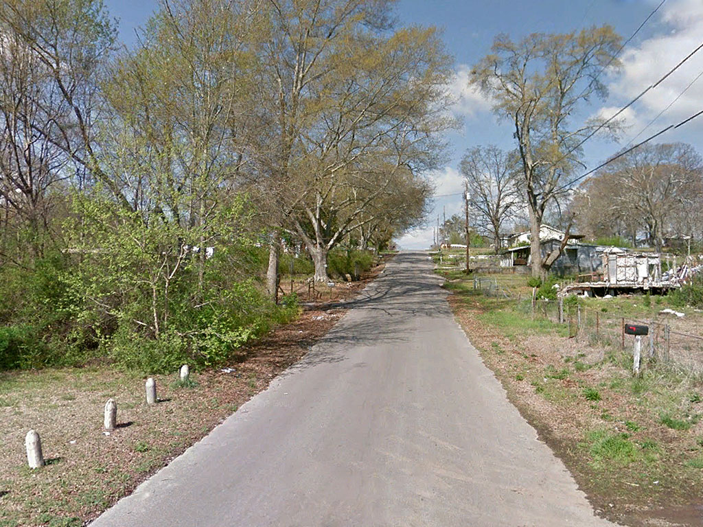 Alabama Treed Lot with Greenspace Behind1