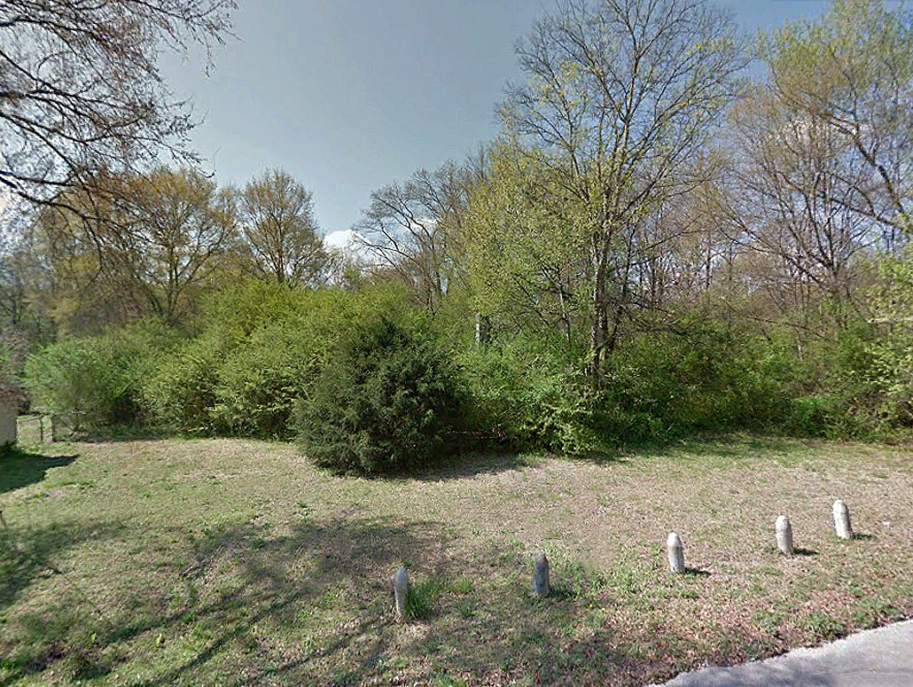 Alabama Treed Lot with Greenspace Behind1