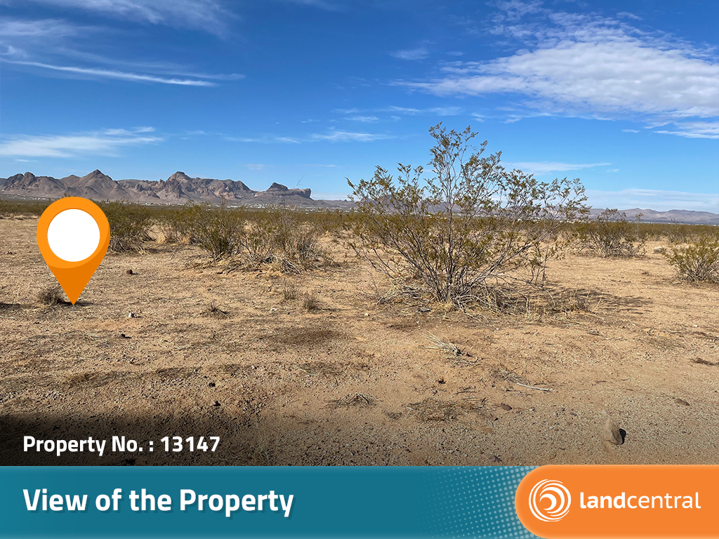 Close to Two and a Half Acres of Opportunities Await1